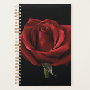 Agenda Pilar de lanzamiento de rosa roja