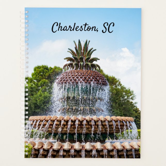 Agenda Pineapple Fountain in Charleston, SC (Anverso)