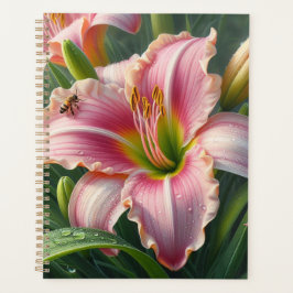 Agenda Pink Daylily Floral