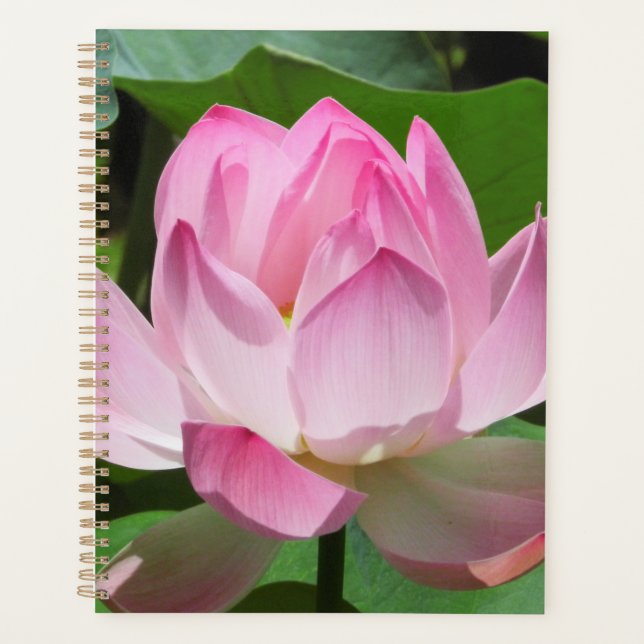 Agenda Pink Lotus Bloom (Anverso)