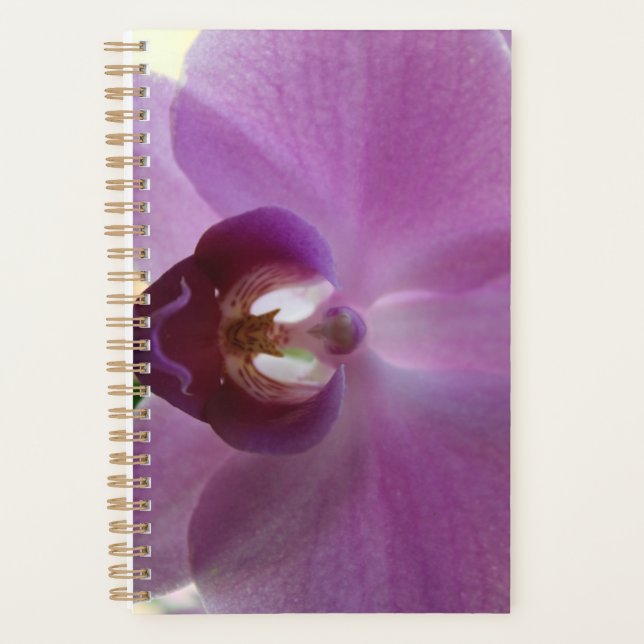 Agenda Pink Orchid Joy Planner (Anverso)