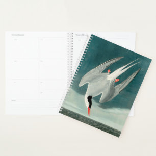 Agenda Pintado de vida silvestre del Ártico Tern Audubon