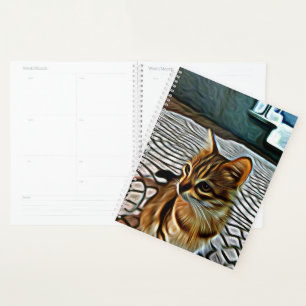 Agenda Pintando un lindo gato