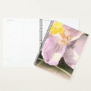 Agenda Pintura de acuarela de crocus Flower