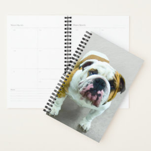 Agenda Pintura de bulldog - Arte de perros original y lin
