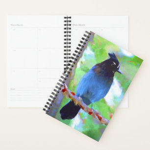 Agenda Pintura de Jay de Steller - Arte de pájaro origina