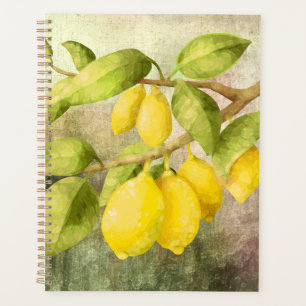 Agenda Pintura de lémones