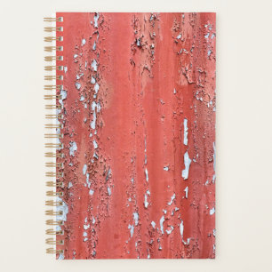 AGENDA PINTURA DE PEELING