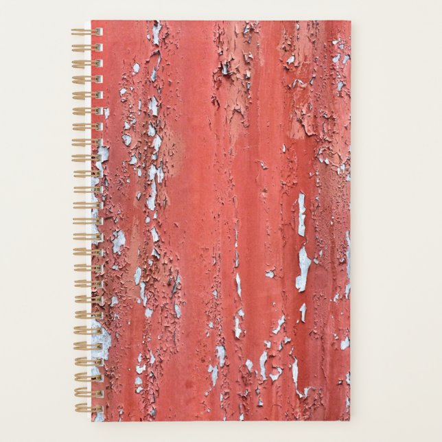 AGENDA PINTURA DE PEELING (Anverso)