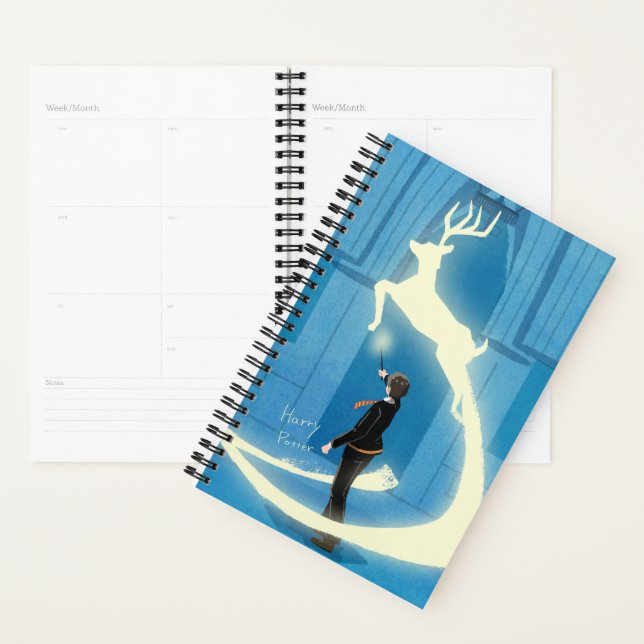 Agenda Pintura del Patronus de HARRY POTTER™ (Demostración)