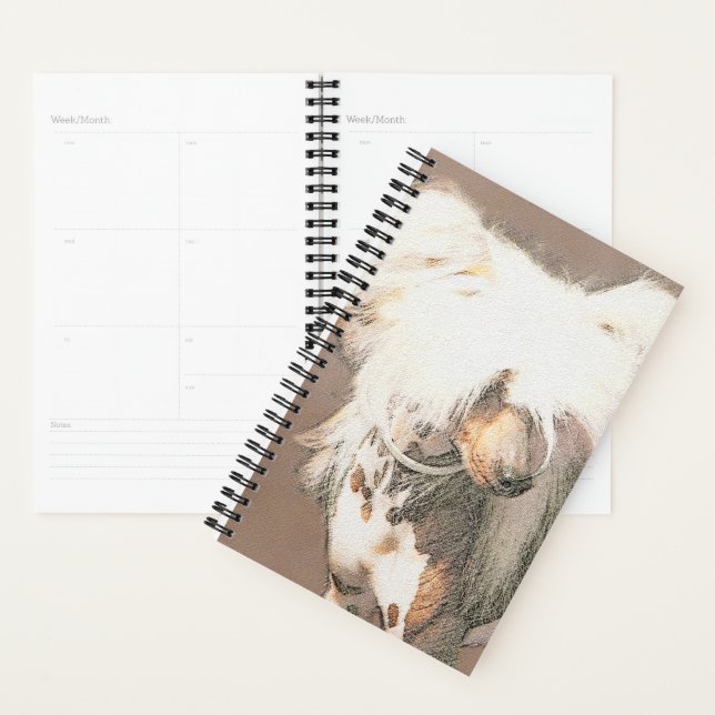 Agenda Pintura sin pelo de cremallera china arte original (Demostración)