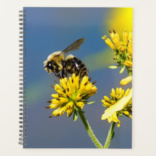 Agenda Plan Semanal/Mensual de Espiral de Bee Bumble