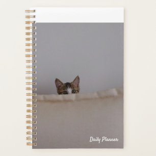 Agenda Plan sin fecha de Cat