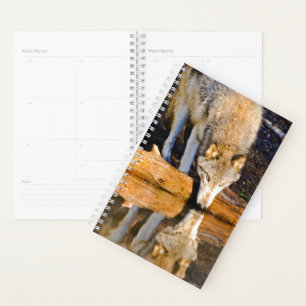 Agenda Planeador de reflexiones Wolf