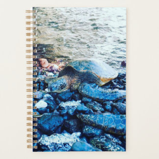 Agenda Planeador de tortugas durmientes
