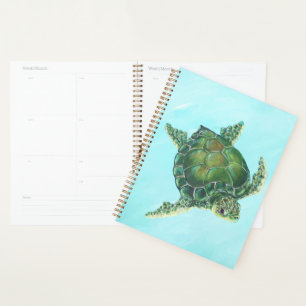 Agenda Planeador de tortugas marinas