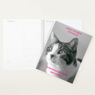 Agenda Planeador felino simple de gatos negros y blancos