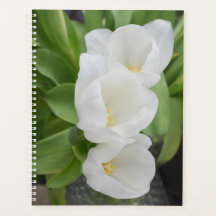 Planificador/organizador diario floral de tulipán 