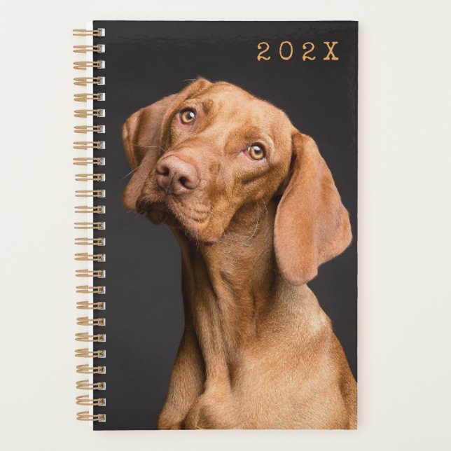 Agenda Planilla de fotografía de cara de perro marrón pla (Anverso)