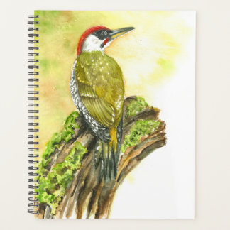 Agenda Planner con oropel verde de color de agua