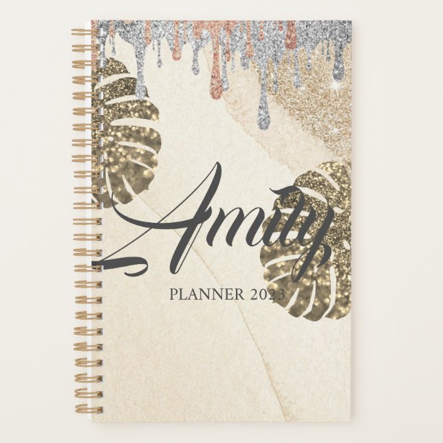Agenda Planner de esparkling de plata dorada (Anverso)
