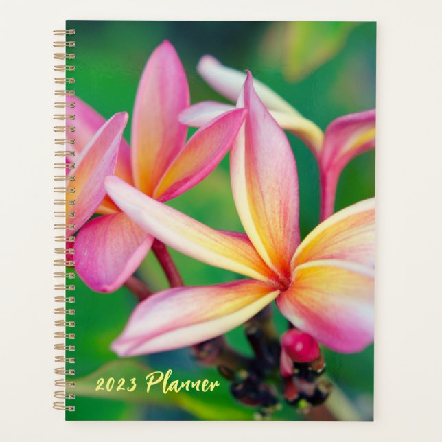 Agenda Planner de flores de plumeria rosa (Anverso)