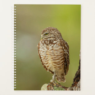 Agenda Planner de lechuza de remo 2024