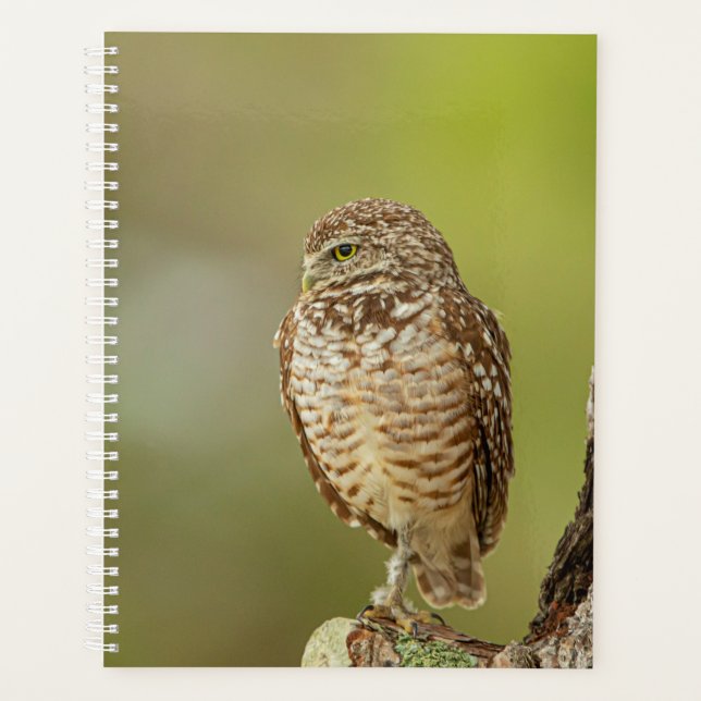 Agenda Planner de lechuza de remo 2024 (Anverso)