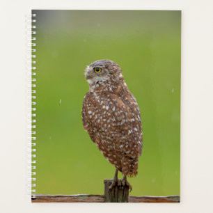 Agenda Planner de lechuza de remo 2024