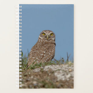 Agenda Planner de lechuza de remo 2024