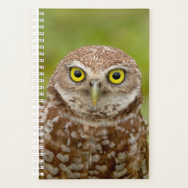 Agenda Planner de lechuza de remo 2024 (Anverso)