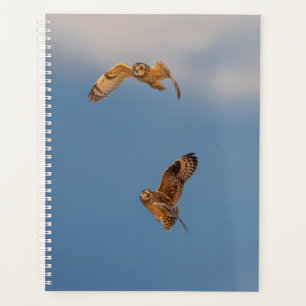 Agenda Planner De Lechuzas De Corto Plazo 2024