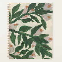 Planner de plantas de escalada