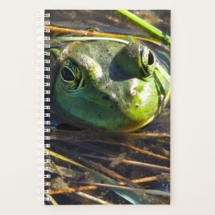 Agenda Planner de rana toro