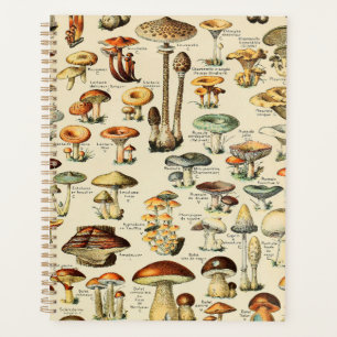 Agenda Planner de recolección de hongos