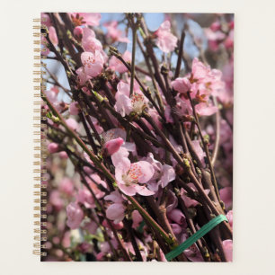 Agenda Planner floral