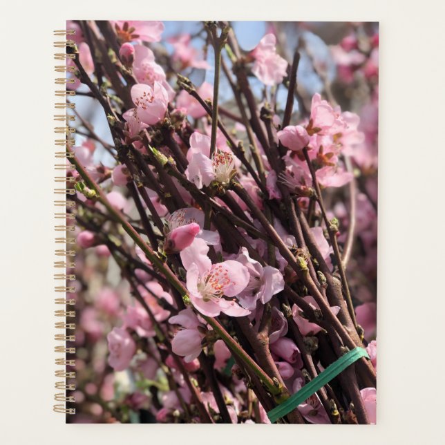 Agenda Planner floral (Anverso)