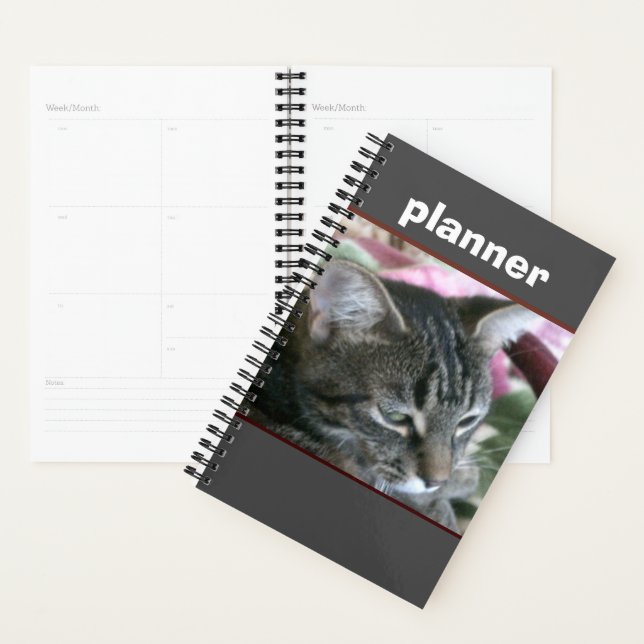 Agenda Planner Kitty de tigre Stripe (Demostración)