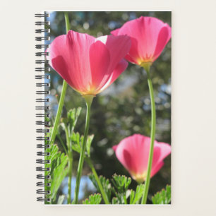 Agenda Planner Mt Tamalpais con flores rosas