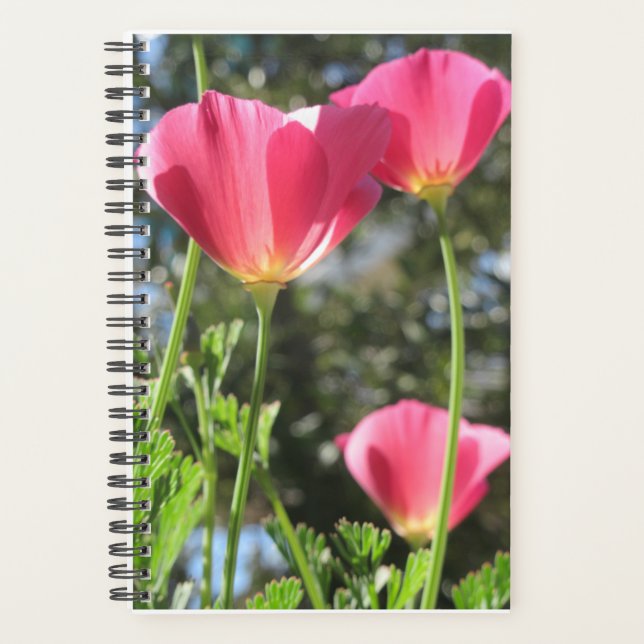 Agenda Planner Mt Tamalpais con flores rosas (Anverso)