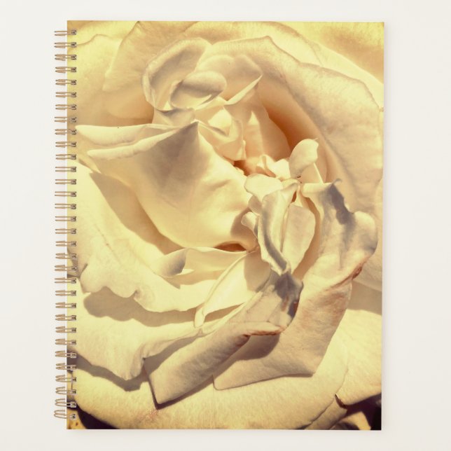 Agenda Planner Rosa de capas (Anverso)