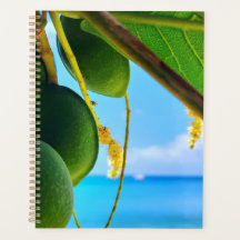 Planner Tropical Beach Vibes | De Inspiración Cari