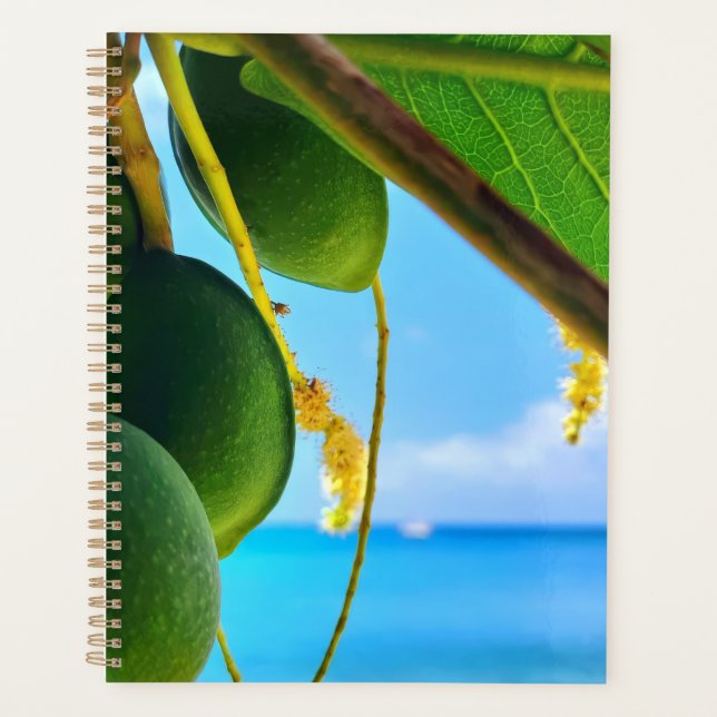 Agenda Planner Tropical Beach Vibes | De Inspiración Cari (Anverso)
