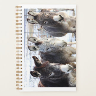 Agenda Planner wild burros