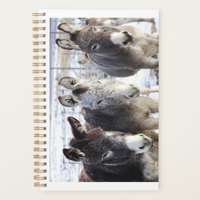 Agenda Planner wild burros (Anverso)