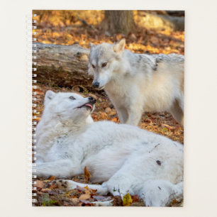 Agenda Planner Wolf 2024