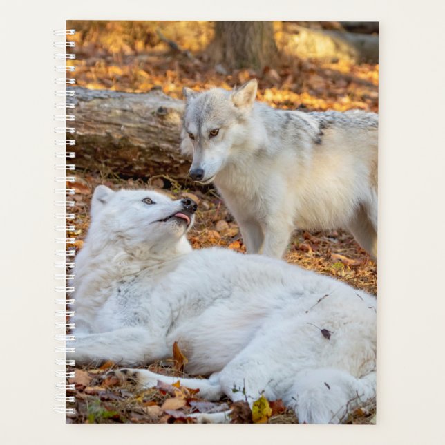Agenda Planner Wolf 2024 (Anverso)