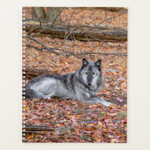 Agenda Planner Wolf 2024