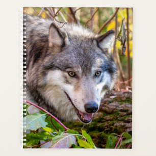 Agenda Planner Wolf 2024