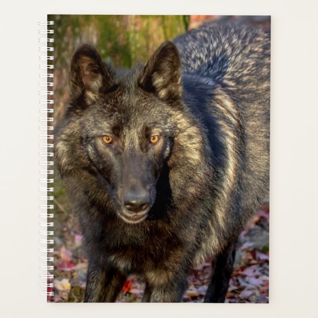 Agenda Planner Wolf 2024 (Anverso)
